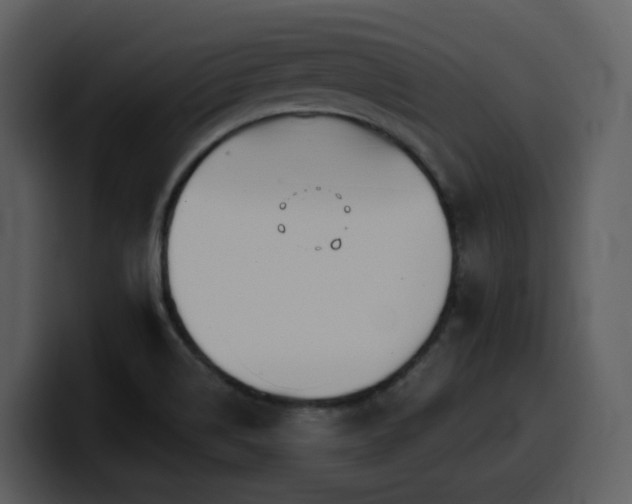 X0000100781514200806191251