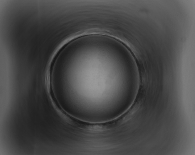 X0000100781515200806191251