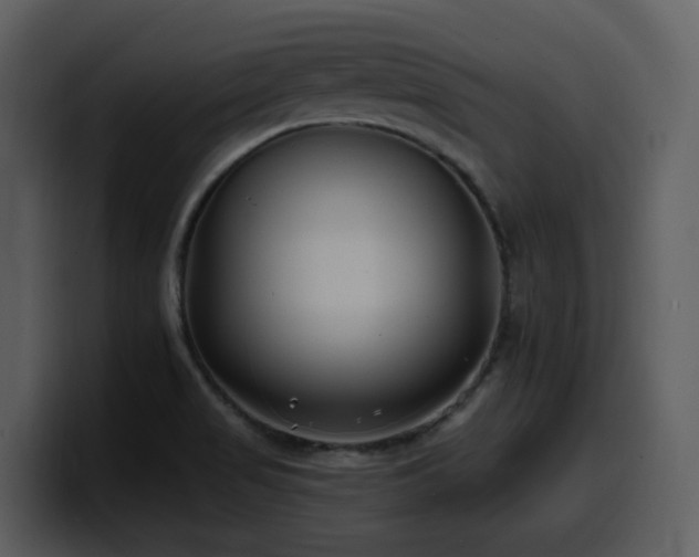 X0000100781517200806191251