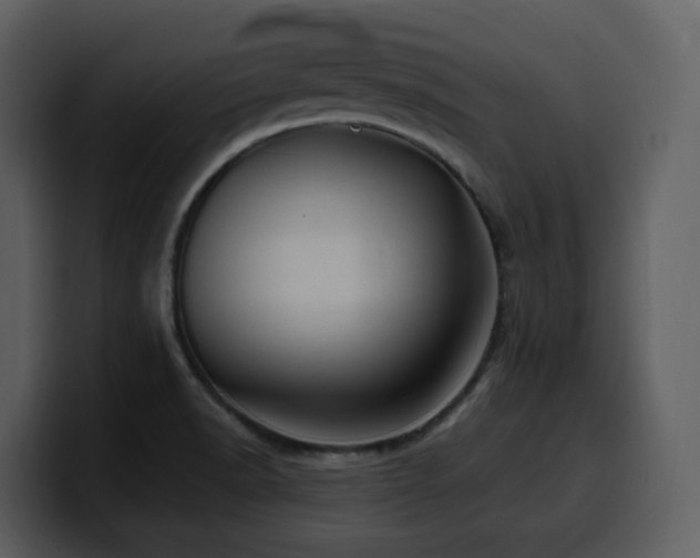 X0000100781518200806191251