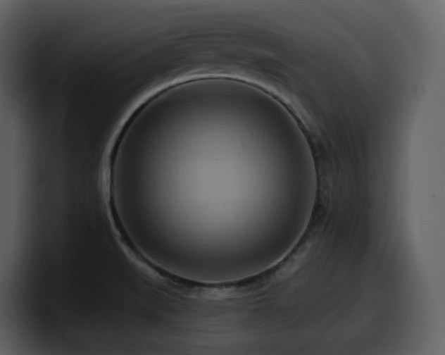 X0000100781519200806191251