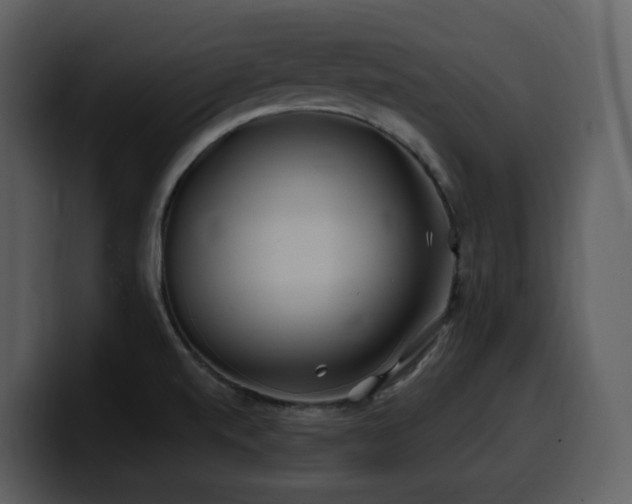 X0000100781520200806191251