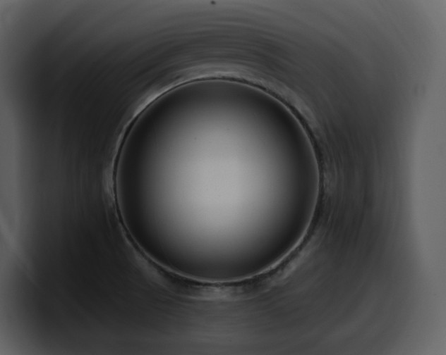 X0000100781521200806191251