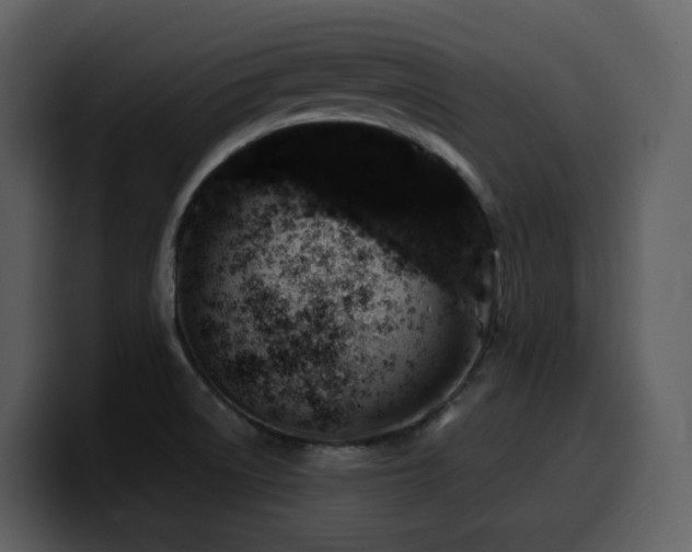 X0000100781522200806191251