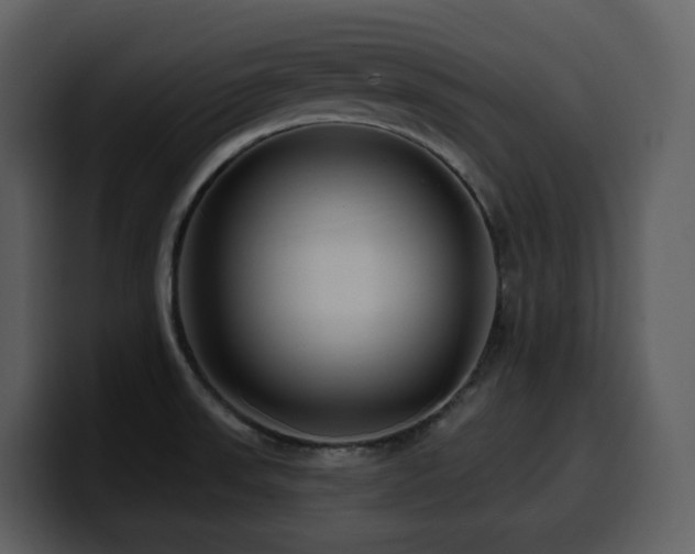 X0000100781523200806191251