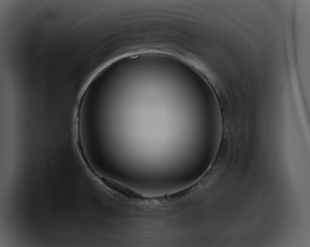 X0000100781524200806191251