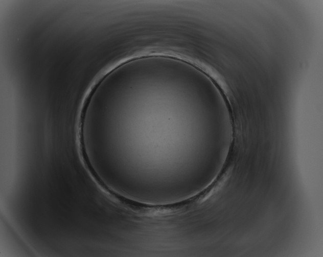 X0000100781525200806191251