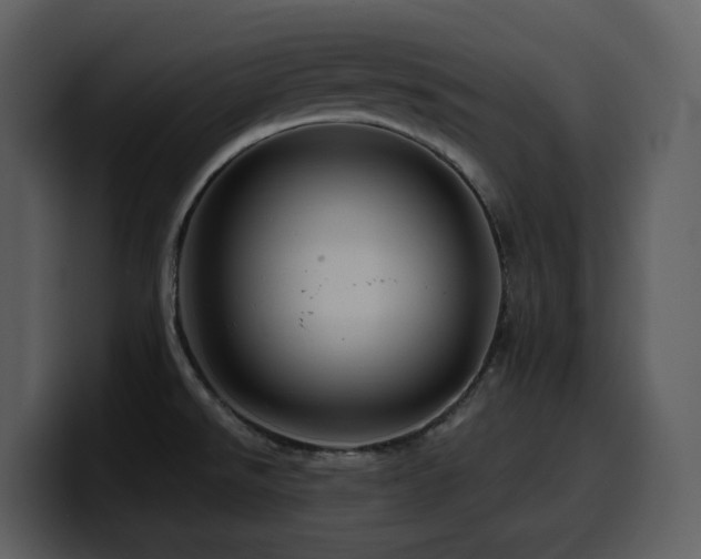 X0000100781526200806191251