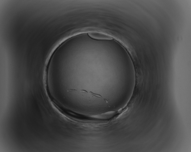 X0000100781527200806191252