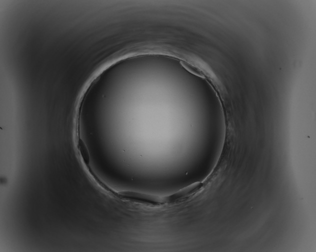 X0000100781528200806191252