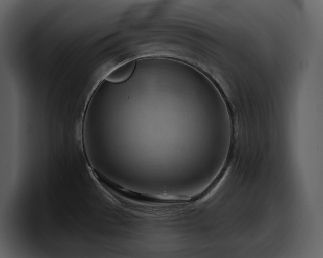 X0000100781529200806191252