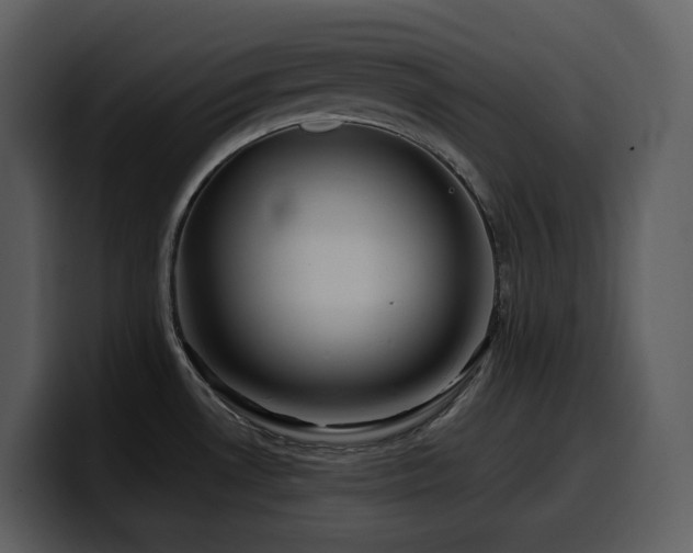 X0000100781530200806191252