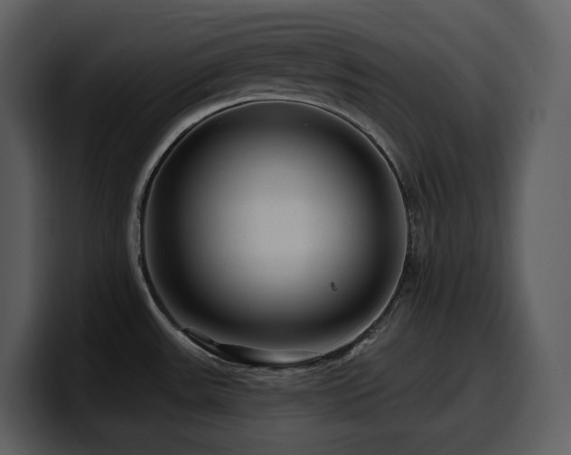 X0000100781531200806191252