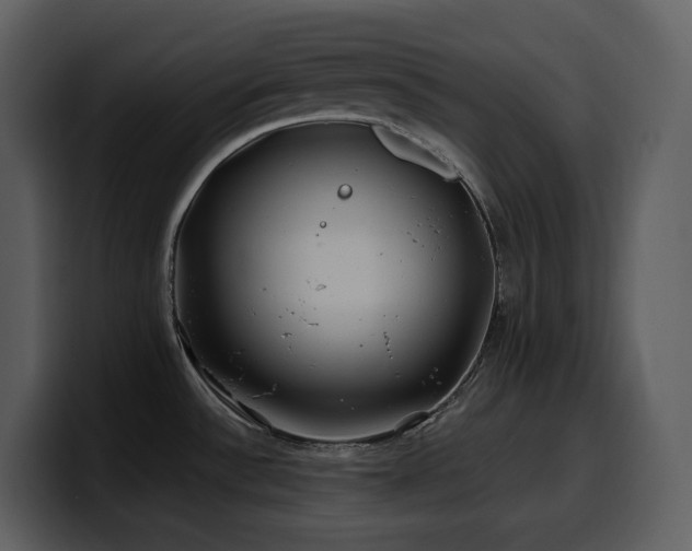 X0000100781532200806191252