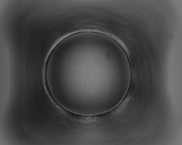 X0000100781533200806191252