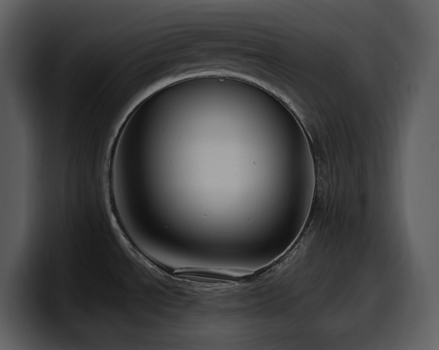 X0000100781534200806191252