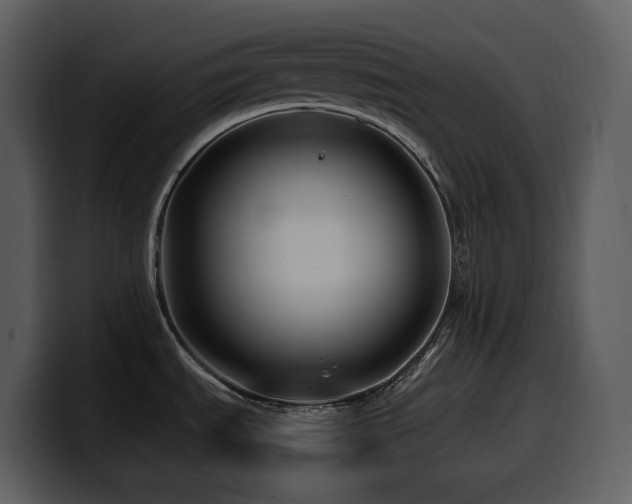 X0000100781535200806191252