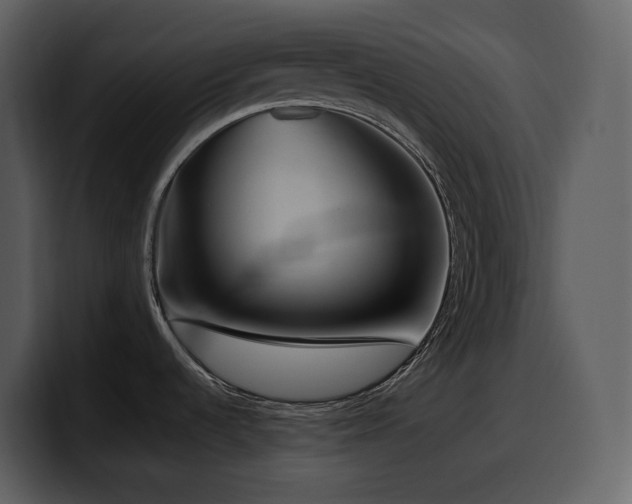 X0000100781536200806191252