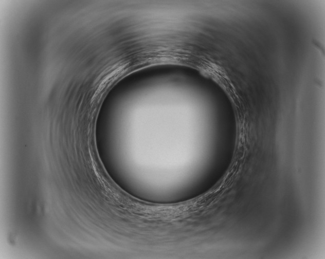 X0000100780001200806261640