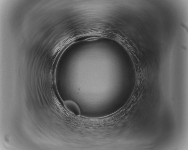 X0000100780002200806261640