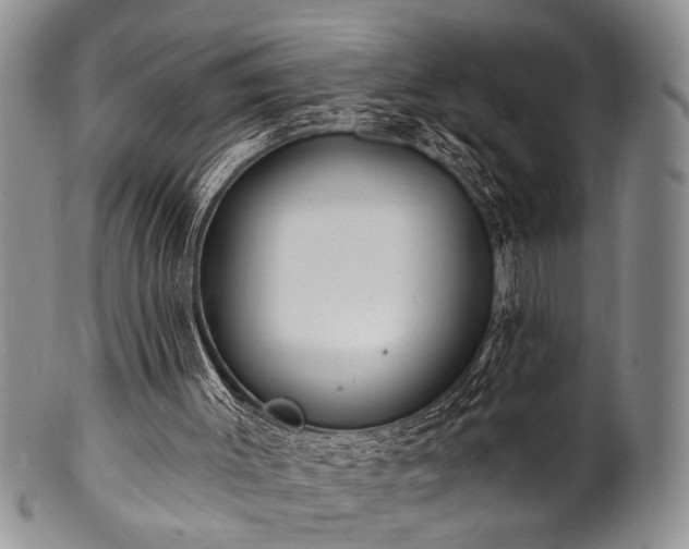 X0000100780003200806261640