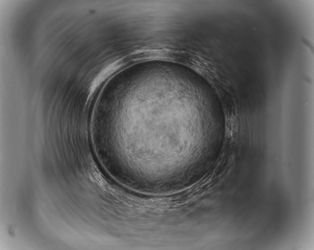 X0000100780004200806261640