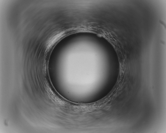 X0000100780005200806261640