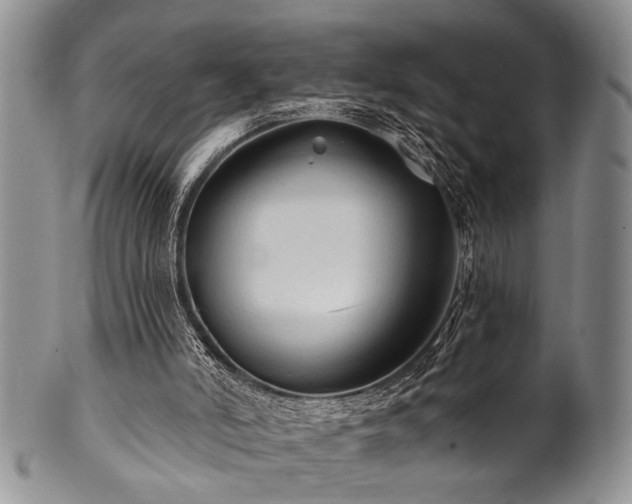 X0000100780006200806261640