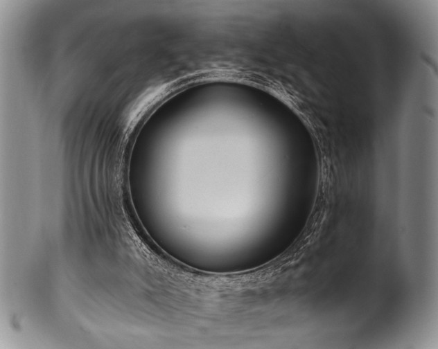 X0000100780007200806261640