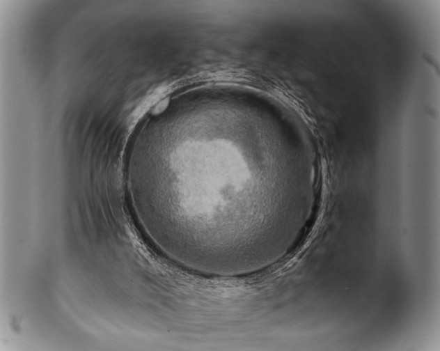 X0000100780008200806261640