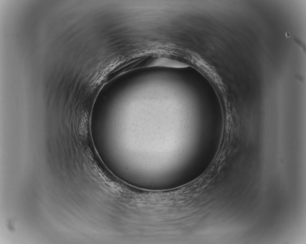 X0000100780009200806261640