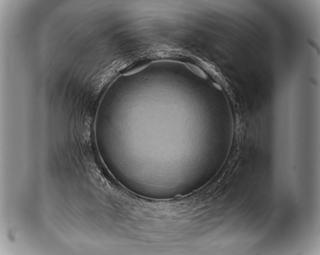 X0000100780010200806261640