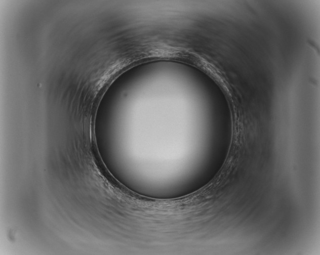 X0000100780011200806261640