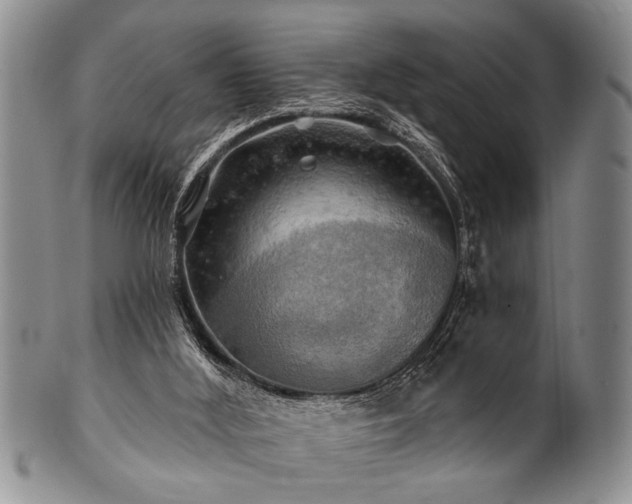 X0000100780012200806261639