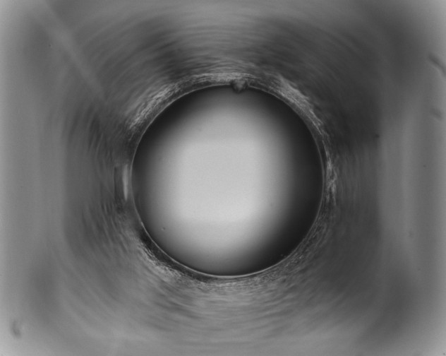 X0000100780013200806261639