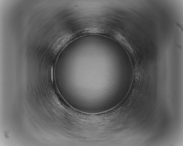 X0000100780014200806261639