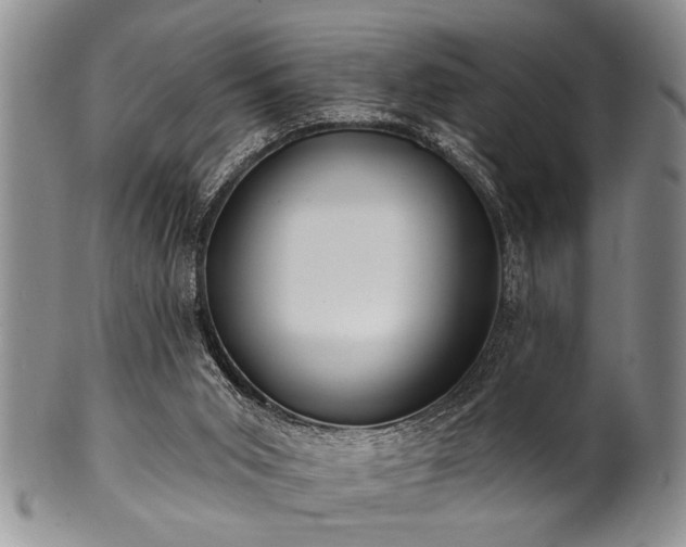 X0000100780015200806261639