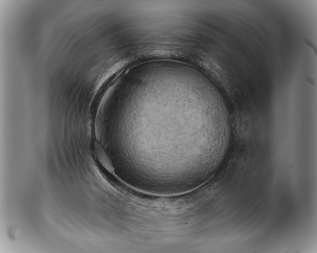 X0000100780016200806261639