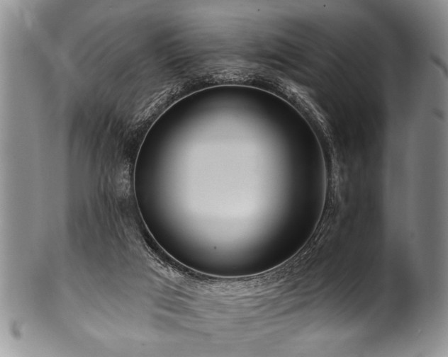 X0000100780017200806261639