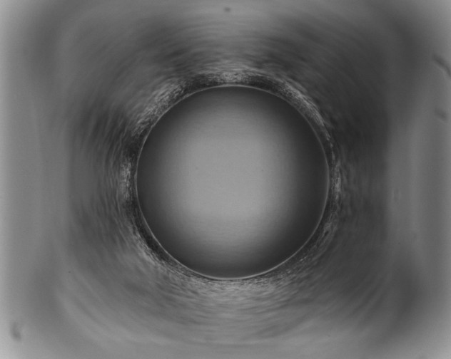 X0000100780018200806261639