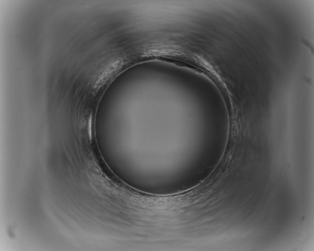 X0000100780019200806261639