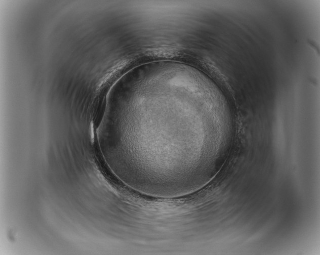 X0000100780020200806261639