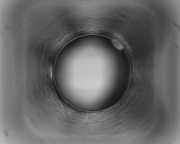 X0000100780021200806261639