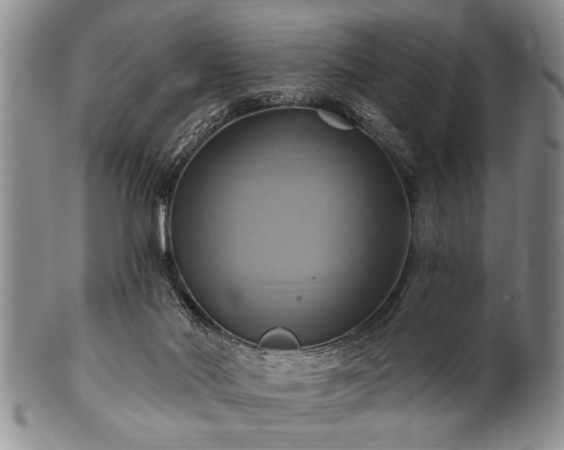 X0000100780022200806261639