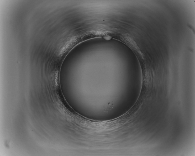 X0000100780023200806261639