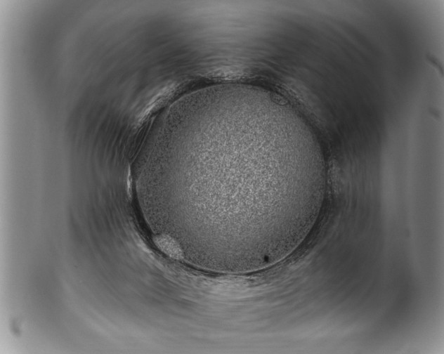 X0000100780024200806261639