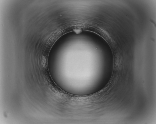 X0000100780025200806261639