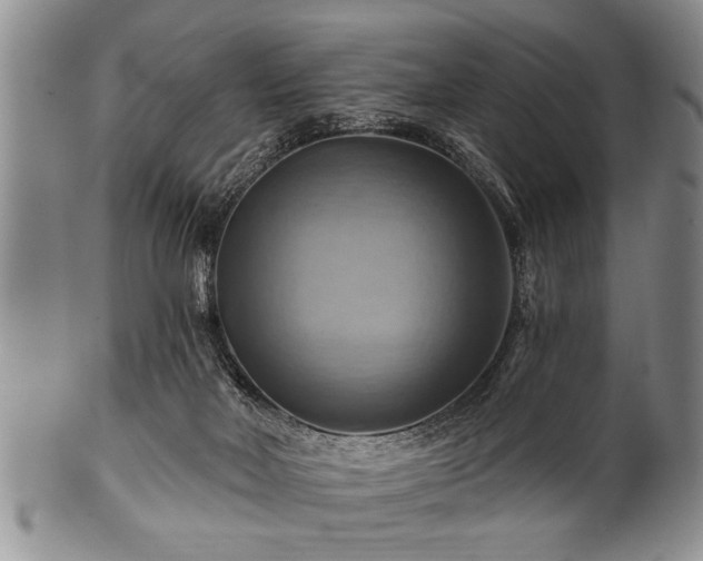 X0000100780026200806261639