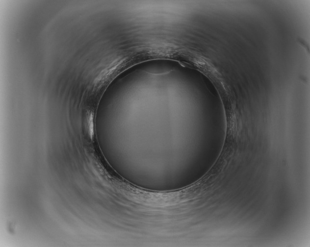 X0000100780027200806261639