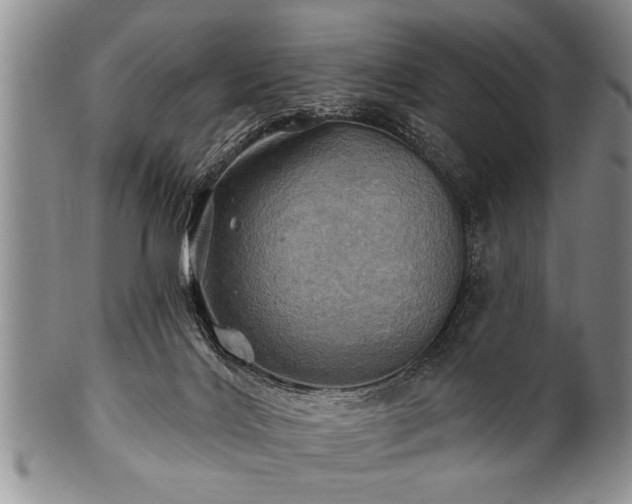 X0000100780028200806261639